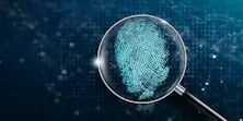 Ein digitaler Fingerabdruck unter der Lupe