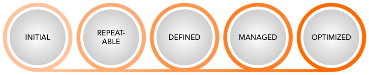 avantum-consult_datenqualität_reifegradmodell